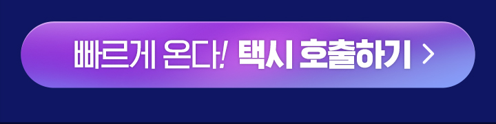 빠르게 온다! 택시 호출하기