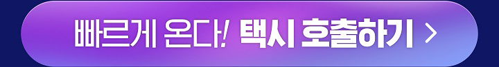 빠르게 온다! 택시 호출하기