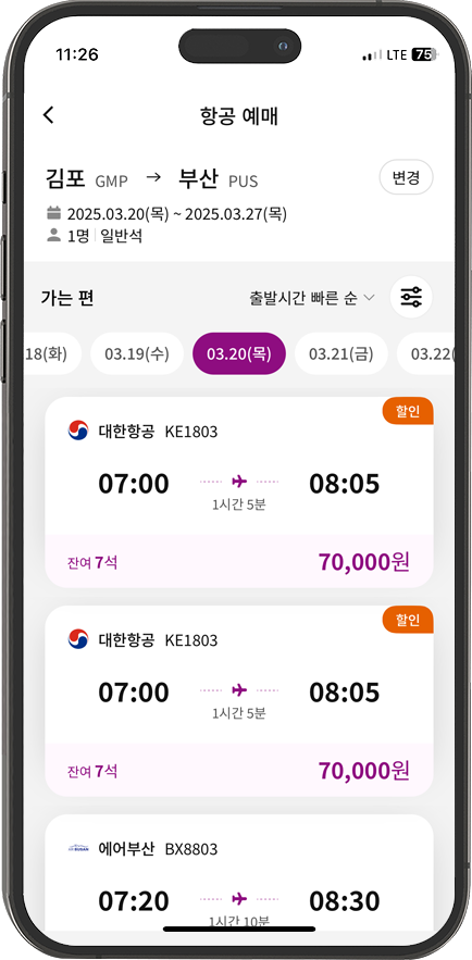 국내선 항공권 예매